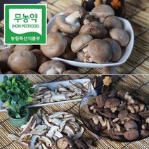 청전금산 친환경 무농약 생 표고버섯 1kg 산지직송, 생표고 상품 1kg, 1개