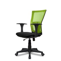 DY-chair 아슬란 요추받침형 메쉬 3종/6컬러 학생의자, 아슬란 블랙바디, 기본, 그린