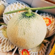 달달과수원 신선하고 맛있는 머스크 메론 6~7kg 한박스 4수 5수 6수 멜론, 6개