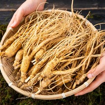 인삼 무세척 햇삼 1kg 수삼 금산 가을 막삼 파삼 가정용 오쿠삼 차 삼계용, 1YFM_햇 막삼 무세척 1kg