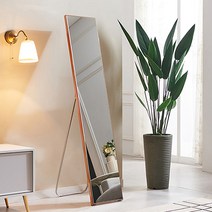 에이스홈 크리스탈 315 전신거울, 스탠드형, 로즈골드 / MA109_RGD