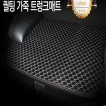 원스 가죽 트렁크매트, 레이
