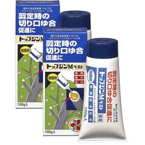 Sumitomo 스미토모 나무 상처 보호제 분재 관목 소독 연고 100g 2팩