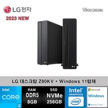 LG전자 데스크탑 12세대 I3 컴퓨터 Z80KV-AR23S2+WIN11 (I3-12100/8GB/SSD256GB/UHD730/WIN11)