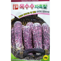 아시아종묘 옥수수씨앗 자흑찰옥수수 (30g), 1개