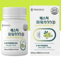 매스틱검 매스틱 고함량 매스틱정 메스틱정 메스틱검 메스틱 하이 마스틱 파우더 그리스 그리스산 추출물