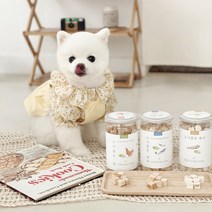 말썽쟁이여름 강아지 고양이 동결건조 야채 노니 북어 연어 치킨 트릿 간식, 노니품은 연어 60g