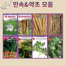 민속약초모음 약초 도라지 더덕 명이나물 취나물 곰취 냉이 당귀 고들빼기 곤드레, 16.아티쵸크10g