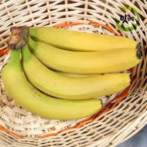 맛가득 프리미엄 로즈바나나 진도 감숙왕 치키타 몽키 수입과일 13Kg, 바나나 2송이, 고당도 바나나, 2개