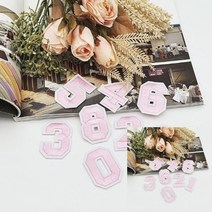 TWKL 의류 패치 숫자 연분홍, 1개
