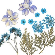 압화종합팩 누름꽃11 약11개 B-03-011