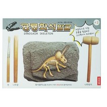 미소로 2500 공룡 화석 발굴키트 2104 156 x 32 x 110 mm, 10개