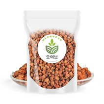 오허브 국내산 마가목열매 마가목주 250g, 상세페이지참조