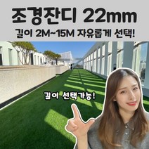 조경 인조잔디 22mm 폭 2m x 길이 1m ~ 15M 선택구매 가능!, 폭2M x 길이1M