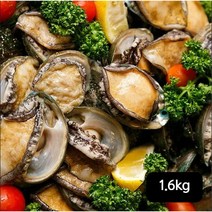 완도전복 완도 한입활전복 1.6kg, 1개