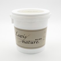 BP 전처리 프라이머 유럽미장 루이스네이쳐 4L