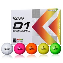 혼마골프정품 2022 NEW D1 2피스 골프공 비거리 병행, 화이트, 12개입, 12