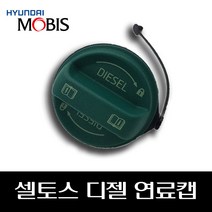 셀토스 디젤 연료캡 주유캡 31010M6900