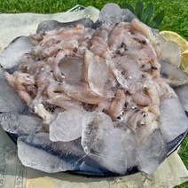호래기 올바른 꽁꽁 냉동 호래기 꼴뚜기 1kg
