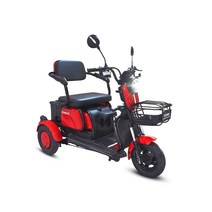 AU테크 에코로 X3 3륜 전기전동스쿠터 48V 20Ah, 에코로 X3 48V 20A 레드 {DY}, 스마트배송