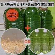 생먹이 물벼룩(or배양배지)+클로렐라 지속 사육 알뜰 세트 브라인쉬림프 대용, 2개, 생물안전포장, 클로렐라+배양배지