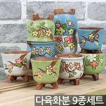 예쁜 다육이 꽃무늬 화분 9종세트 - 다육 화분세트 선인장 미니화분 인테리어화분 홈카페 사무실 거실화분 예쁜화분 가드닝 소품
