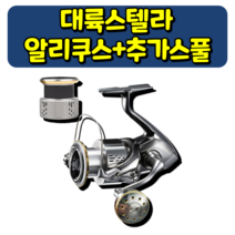 대륙스텔라 알리쿠스+보조스풀 스피닝릴 대륙의실수라 불리는 릴, 실버, 6000번