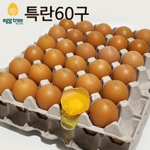 [에그트리농장 특란] HACCP인증농가 오늘 낳은 싱싱한 달걀 생계란, 60구(3600g이상), 특란