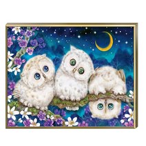 FASEN diy보석십자수 캔버스 형액자 세트 40cm x 50cm, AYW-65부엉이 4입니다
