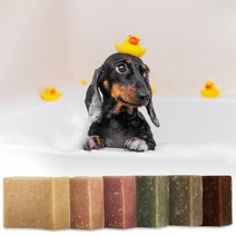 오너클랜 강아지 비누 왕왕 버블솝 천연숙성 저자극 고양이비누_WA93AC0, 06 천년초