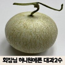 [당도보장]하니원 메론 대과 4kg 회장님메론 천상계 멜론 허니원 홍팜 허니원메론 인생메론, 칼달로프메론4kg
