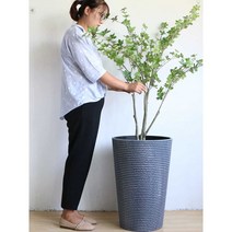분갈이 플라스틱 대형 화분 원형 플분 진열 사무실, 연베이지 외경 28CM