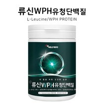 류신 WPH 유청단백질분말 280g WPC 유청농축단백분말 L-로이신 BCAA 아미노액티브 완두단백분말 발린 이소로이신 함유 프로틴파우더 프로틴분말 단백질파우더