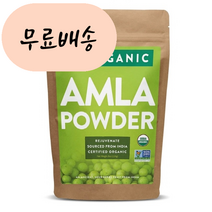 FGO 암라가루 amla 암라 226.g, 226g, 1개