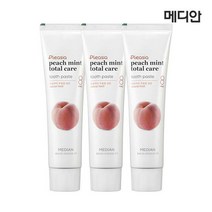 메디안 플레시아 피치민트향 치약 120g 3입 1개