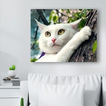 귀여운 고양이 사진 캔버스액자 (고객님 야옹이 사진으로도 제작 가능합니다), CAT17