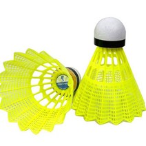 포부 셔틀콕 나일론 배드민턴 셔틀콕 공 6입 _ 2023978EA, 쿠팡 영스샵 본상품선택