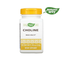 이게 뭘까요 콜린 500mg 아세틸콜린 전구체 정제 100정