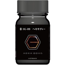gaianotes 가이아노츠 HG-09 헥사기어 컬러 헥사 그레이, 단일