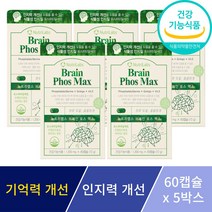 포스파티딜세린 징코 기억력 인지력 개선 은행잎추출물 뇌 두뇌 영양제 수험생 부모님 선물 사은품 증정, 5박스