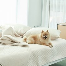 반려동물과 함께 쓰는 털 붙지 않는 나란히 스프레드, 오트밀