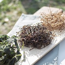 온유네 국산 햇 고사리 지리산 건나물 취나물 곤드레 시래기 토란대 고춧잎 고구마줄기 무말랭이 호박고지 고춧잎 아주까리, 15-1 건고사리50g[무농약인증품]