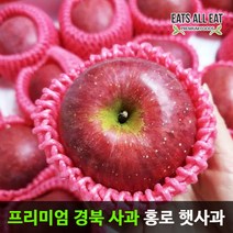 이츠올릿 경북 햇 홍로 부사 꿀 사과 껍질째 먹는 가정용 청송 안동 문경 장수, 정품／홍로중과(35-38과)10kg