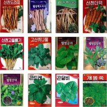 민속채소 약초 씨앗 종자 산마늘 도라지 야관문 방아 더덕 냉이 취나물 곰취 와송 곤달비 개똥쑥, 27. 백하수오 100립