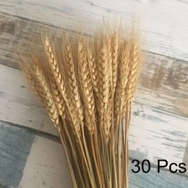 웨딩 부케 정원 장식 조화 인공 파티 홈 정원 럭셔리 잔디 솜털 배열 자연 말린 다발, 30개의 줄기, 약 55cm(꽃병 없음)