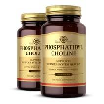 Solgar 솔가 포스파티딜콜린 Phosphatidylcholine 100정 2개