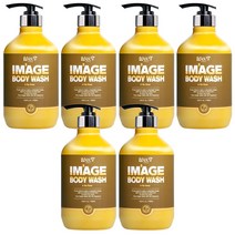 위스티 이미지 향기 좋은 등드름 완화 바디워시 아라로즈 500ml, 6개