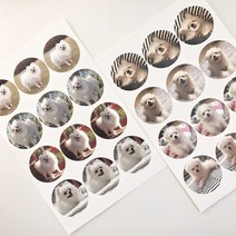 반려동물 굿즈 반려동물 판스티커 강아지스티커 고양이스티커, 40*40(mm), 12매