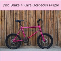 출퇴근자전거 미니 자전거 20 Inh 자전거 단일 속도 더블 Dsi 브레이크 Freewheel 프레임 미니 맞는 높이 1, 02 pneumatic tires