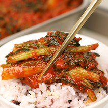셰프애찬 비빔 전용 열무불땡김치 매운 열무 김치, 1캔, 600g